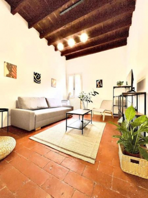casa centro Firenze WI FI ARIA CONDIZIONATA NETFLIX